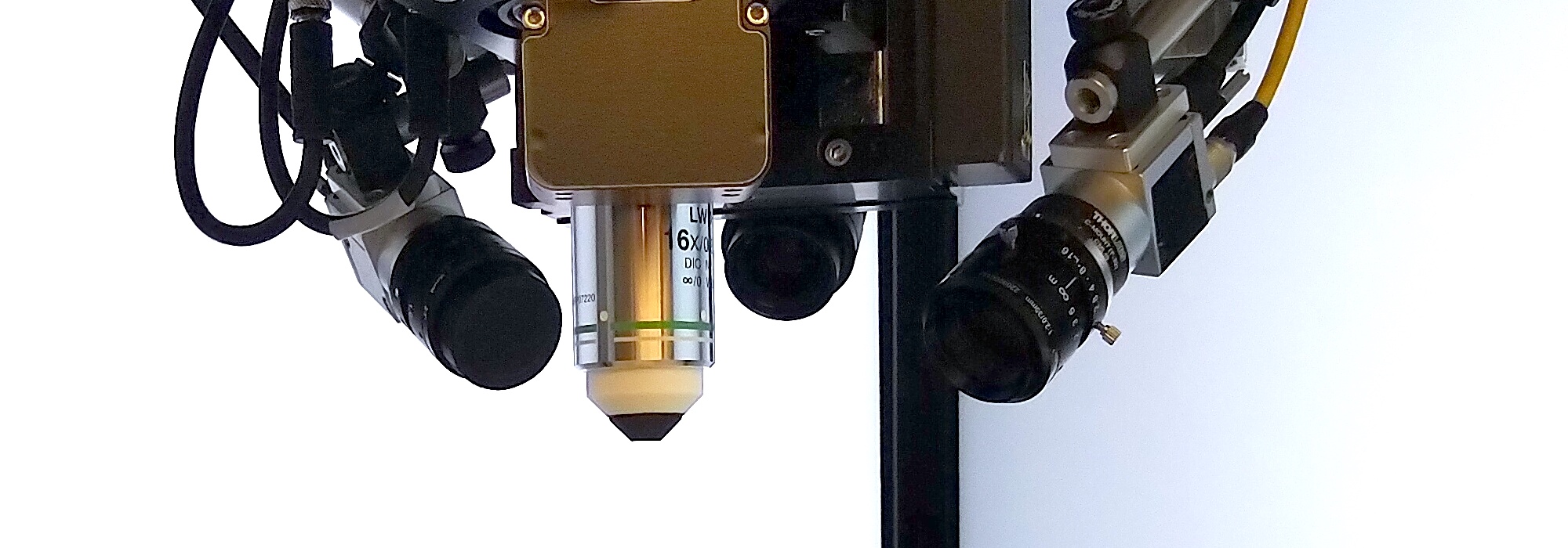 Two-photon microscope with eye and behavior tracking cameras